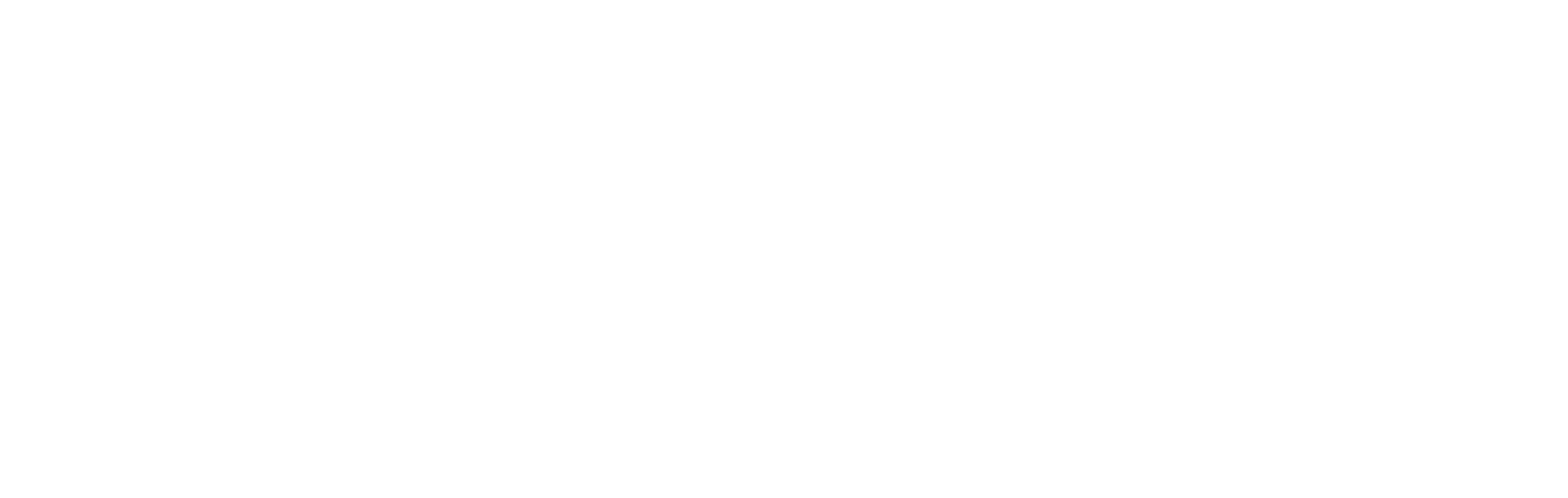 Antonio Calabrese Fractional CMO